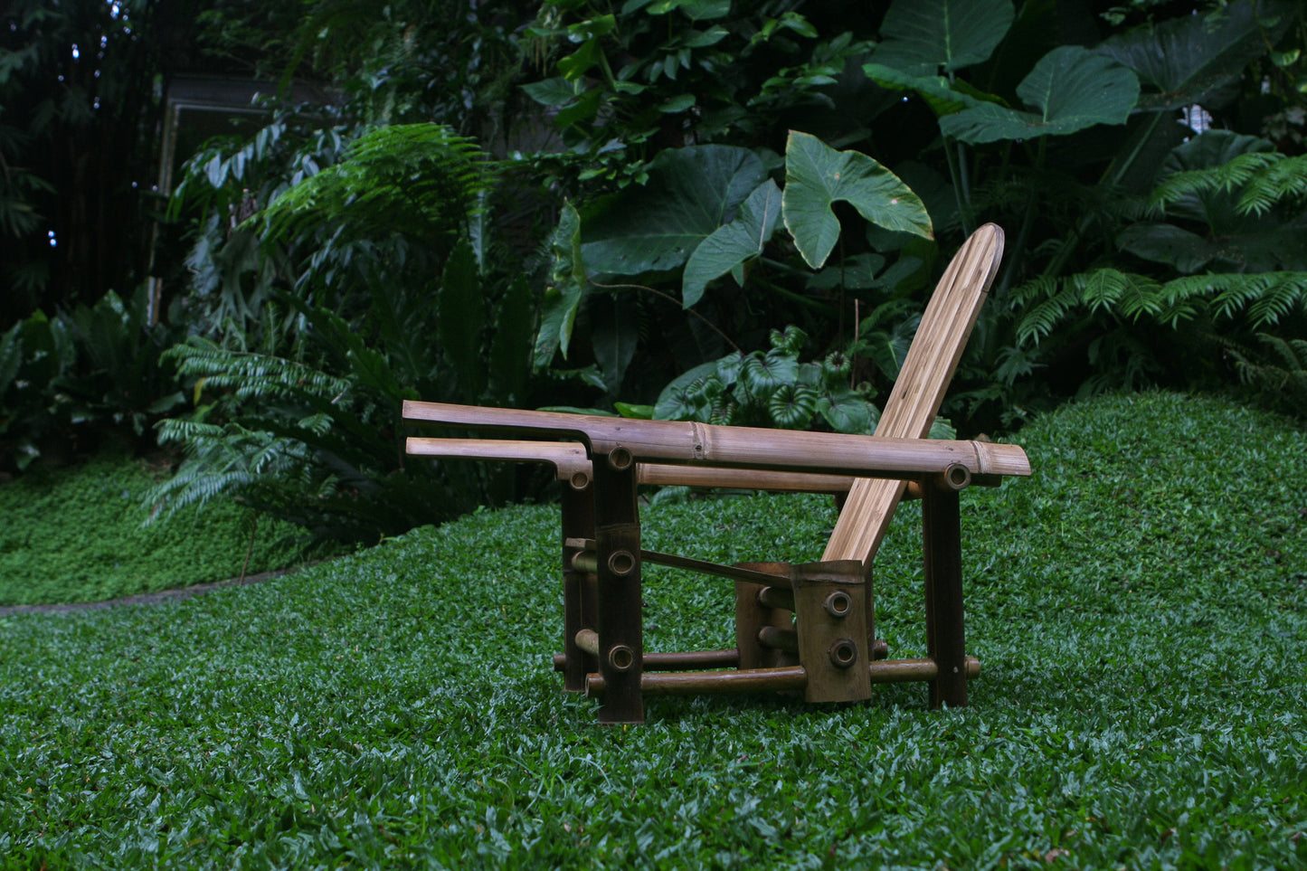 BLACK BAMBOO